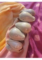 BR309 bracelet coquillage ecargot blanc
